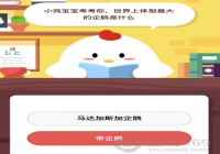 ������ǲ���������������죿