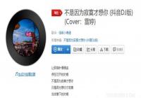 ������Ϊ��į��������ʲô�裿����DJ����� ���� ���