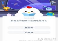 �������������ĺ�����ʲô��