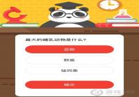 ���Ĳ��鶯����ʲô��