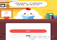 �����;����ĸ������������㣿