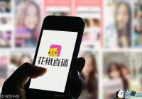 ���Գƻ���ֱ������2019�기��IPO