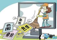 ȫ����ɨ�ƴ�ǡ��첿��2019�������������硱����硱�ж�