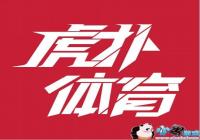 ��ͳ������ҵ���벼�� �й��羺��ҵ��ӭ�ƽ�ʱ����