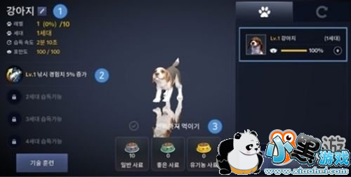 ����ɫɳĮ���������鱨 �ع���¶������