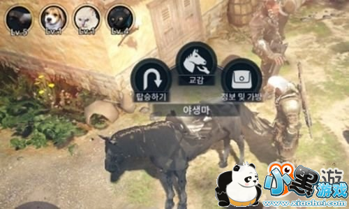 ����ɫɳĮ���������鱨 �ع���¶������