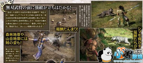 《真三国无双8》南蛮领主夫妇扫图 《真三国无双8》新武将扫图 “南蛮领主”夫妇野性无双