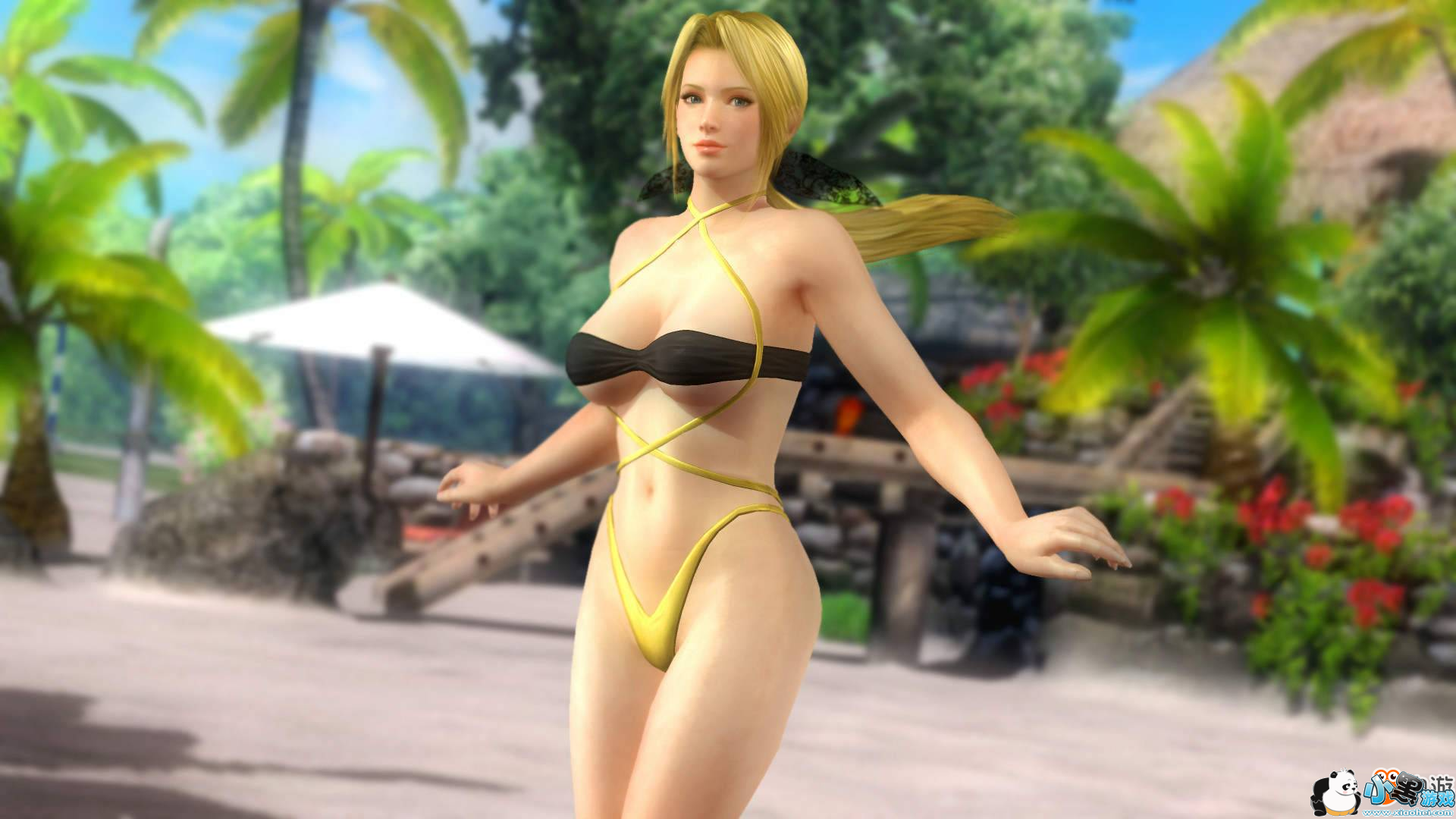 《死或生5:最后一战》DLC发行年内完结 或备战新作 《死或生5》不再推出后续DLC!开发商暗示备战新作