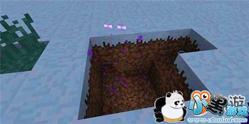 《我的世界》那些匪夷所思的冷知识!