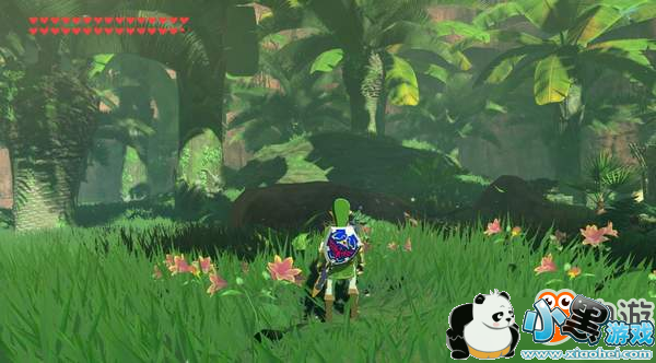 年度传奇止步!《塞尔达传说:荒野之息》再无新内容