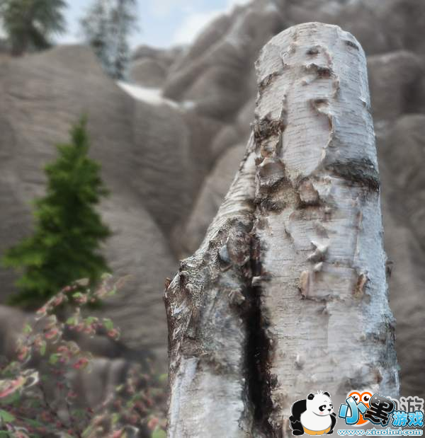 玩家自制《上古卷轴》新MOD 照片建模,树墩子超逼真 玩家自制《上古卷轴》新MOD 照片建模,树墩子超逼真