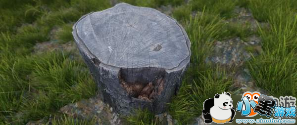 玩家自制《上古卷轴》新MOD 照片建模,树墩子超逼真 玩家自制《上古卷轴》新MOD 照片建模,树墩子超逼真