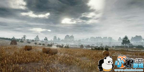 玩家觉得《绝地求生》沙漠地图太空旷 竟建议加入动物