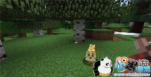 ���ҵ����硷����ѱ��������Ч������