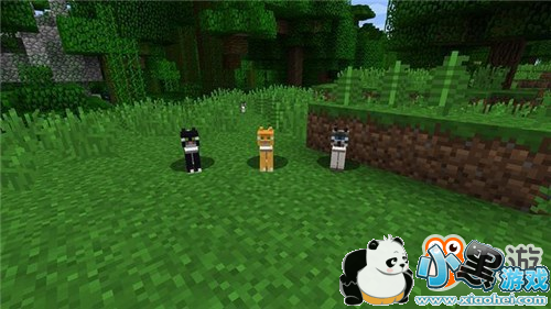 《我的世界》神出鬼没的森林之王原来是它