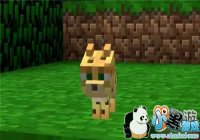 ���ҵ����硷�����û��ɭ��֮��ԭ������