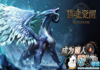 ���Ի���ѡ����⣺�ŶӺ������Ծ���