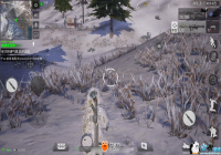 С��ǹս���̵���Щ�����ҵ����˶����񵽼�������������Щ�¡���