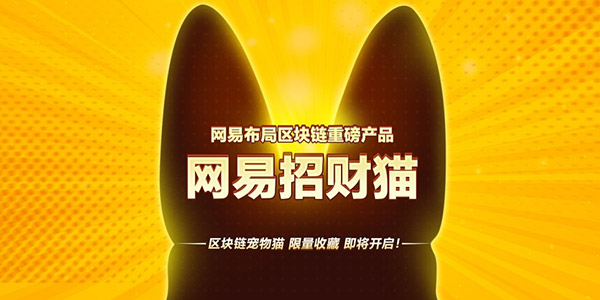 ����Ҳ������è�����ֳ�������в�è����������