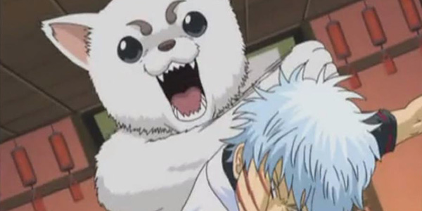 WARNING��ǰ��һ����������Ϯ��