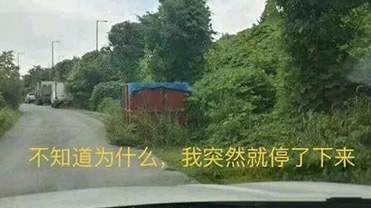 ���о�������ȫ�������Լ�����֢��?�ҿ��Ʋ�ס�Ҽļ���!