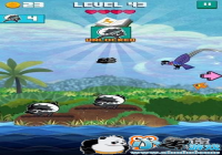 �ڡ�Mama Hawk���а���ӥ���裬ͳ����գ�