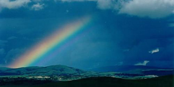 ��ͻ�������Ϸ��ʱ�ع�Ʒ�ʣ�������ȥ���Է���