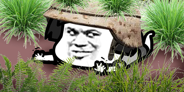 ���챬С�ٿơ�������ħ