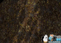 ���Ϲž���5��4K�������������� �⻭���������궼����