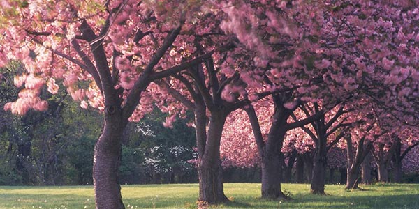 4~5����ֵ���ڴ������� ��׼��������