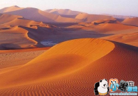 ɳĮ���������Ҫ�������Լ�Ӵ��