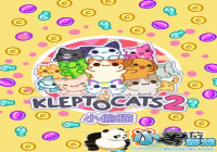 ��С͵è2����������͵ʲô��