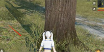 ��Ұ�ж��������õ������� �������������˸�׼