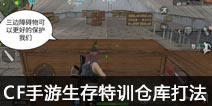CF����������ѵ�ֿ�� �ֿ���·���