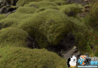 ��������ǳ��̦޺���������Ѳ��� �����׷�ָ����ط�