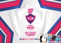 ���������ս��BPLְҵ�����ļ������ҿ���