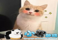 ���̼�ս�������߻�����桿С��ȹ��˵˵���ﻰ