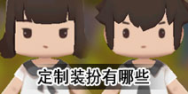 �������綨�ƿ�����Щװ�� ����װ��ϵ��