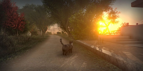 ��������ð�ա���ƽ�����ع� ���������˵��ճ�