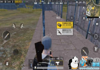 ���̼�ս����AKMΪ�ζ��ܸ��ֶ��裿��Ϊ��ɱһ��