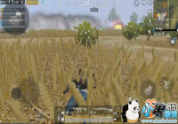 ���̼�ս������սƽԭ!����Ȧ����ȦҪ�����