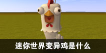 ����������켦��ʲô ����������켦��ô��