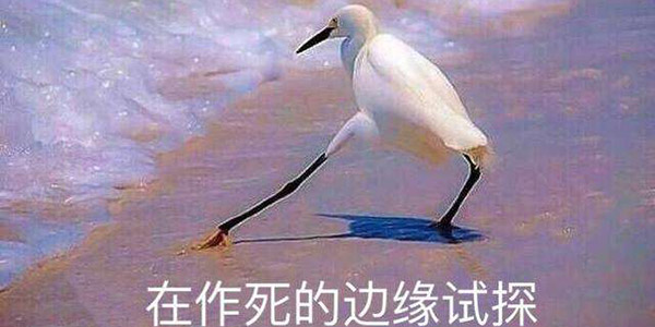 ѧ��ѧ���ѵ���� ��Ը�Գ������һ��ѵ