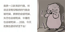 ������ô�ɰ����������뻹����ʲô���ɳ�����