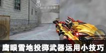 CF����ӥ��ѩ��Ͷ����������С����