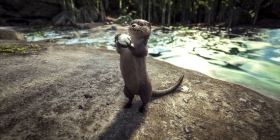 �����������ˮ̡��ʲô�� ������������ֻ���ˮ̡��ôʹ��