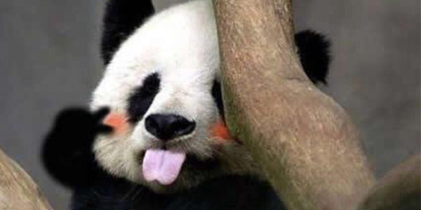 �������١�ֱ��ֱ����������ɶ�ÿ���