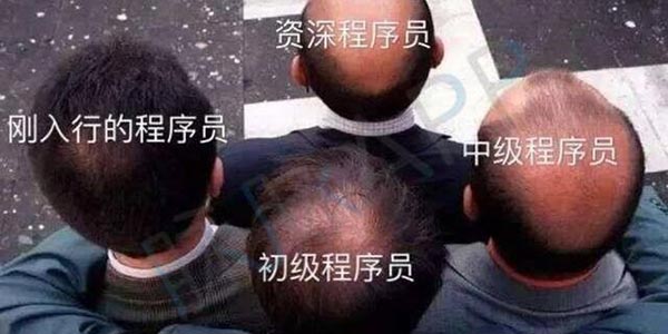 �����һ������Ҫ�����ˣ�ֻ�г���Ա�����ȣ�