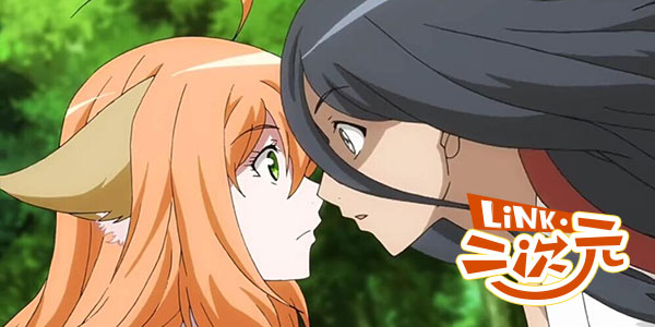 ��link������Ԫ����������Ҫ��ò�������