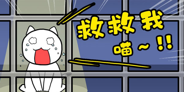 �������ڶ�����ֻСè�������ˣ���˭���Ⱦ�������